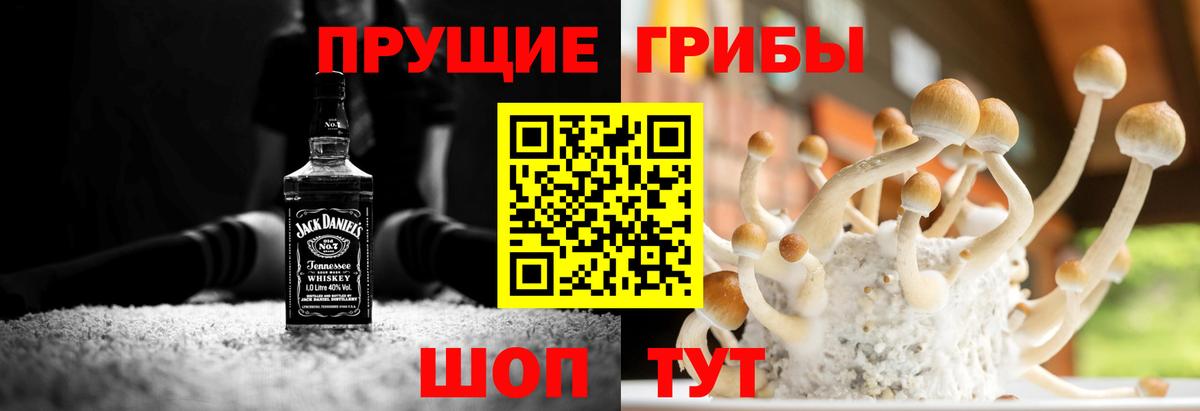 Псилоцибиновые грибы Magic Shrooms Майский